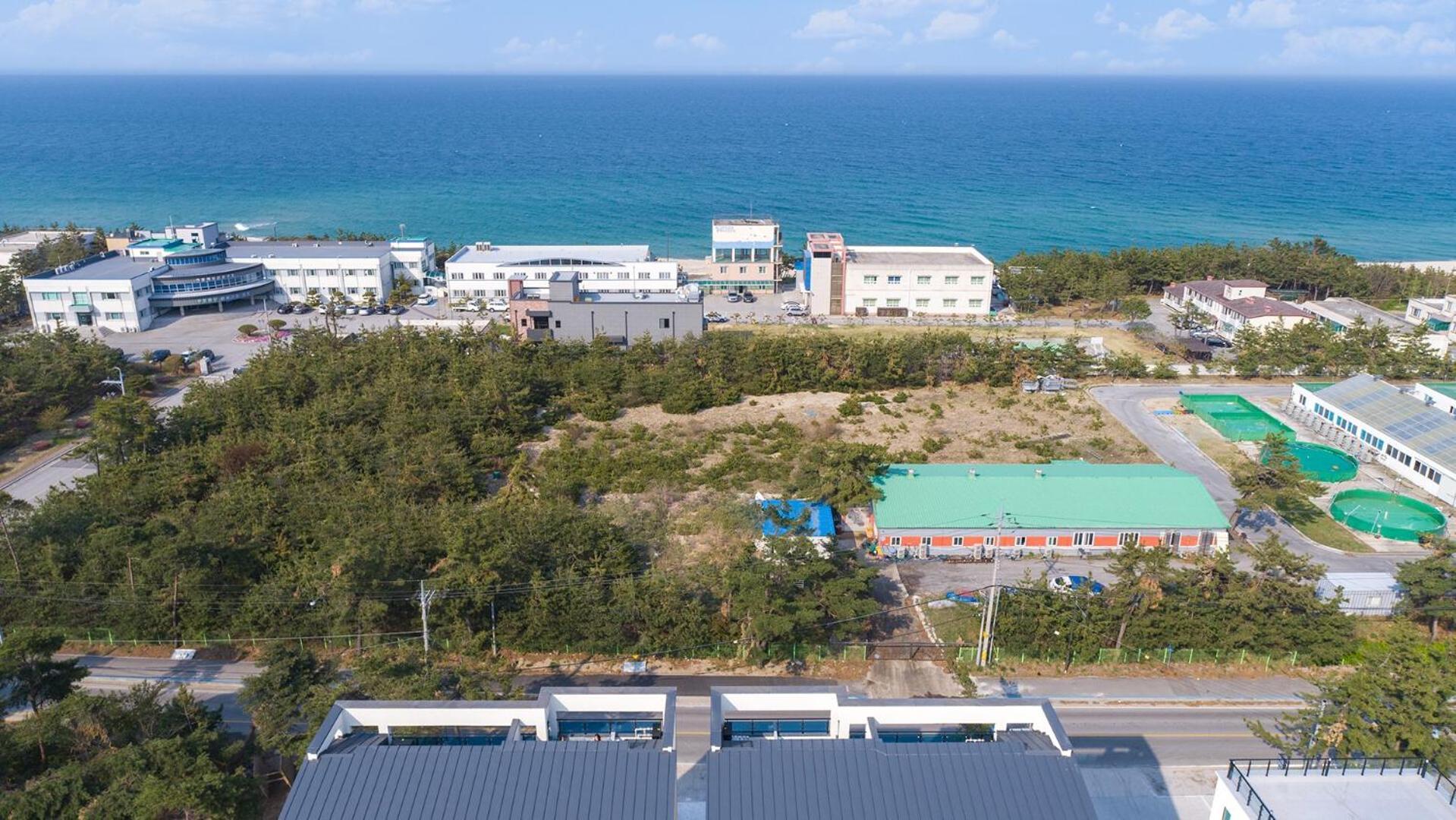 Gangneung Joeungot Poolvilla Kültér fotó